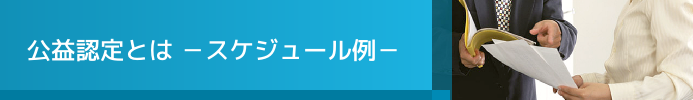 公益認定とは（スケジュール例）