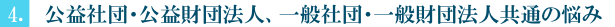 （4）公益社団・公益財団法人、一般社団・一般財団法人共通の悩み